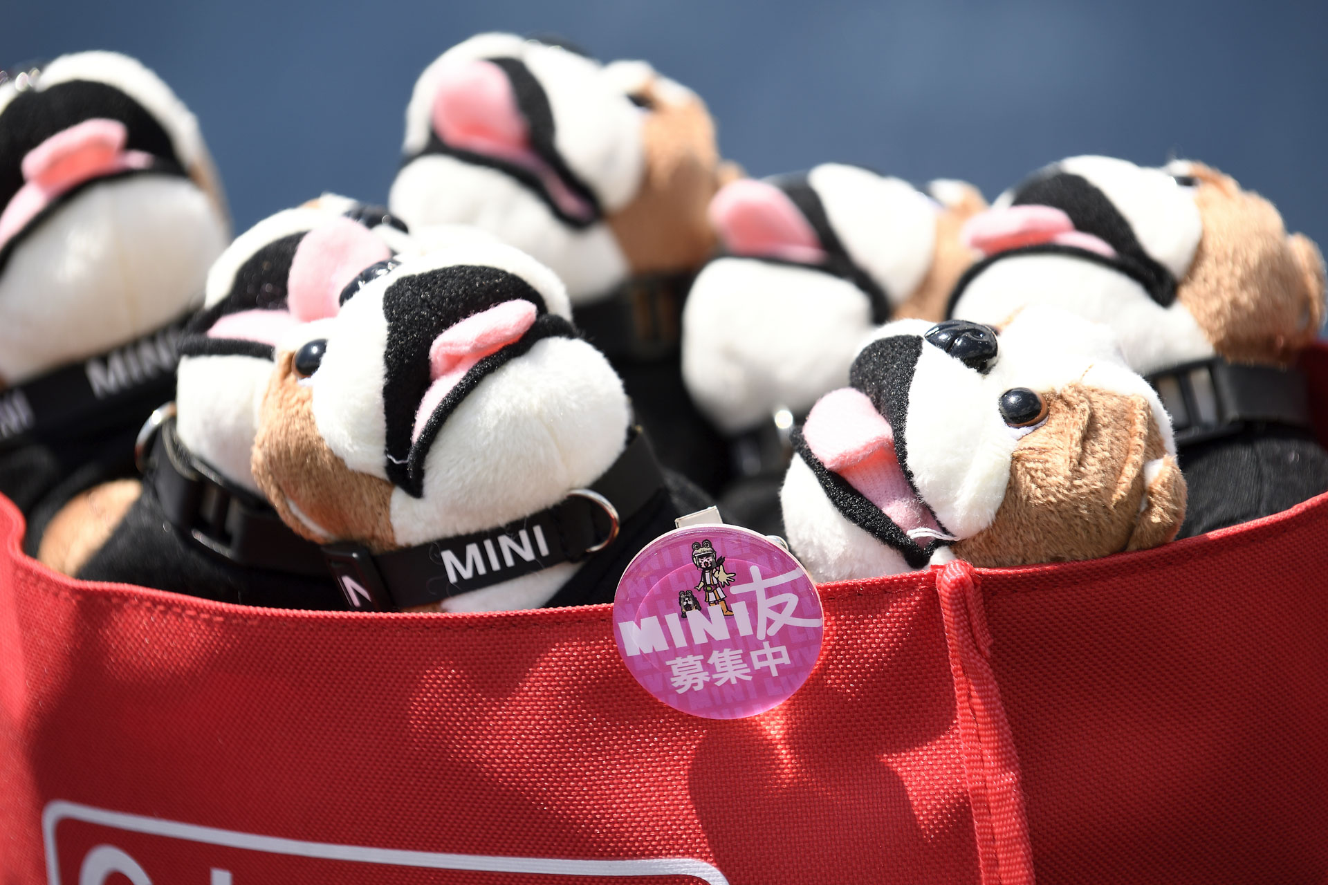 MINI LIVE! 2021 JAPAN MEETING