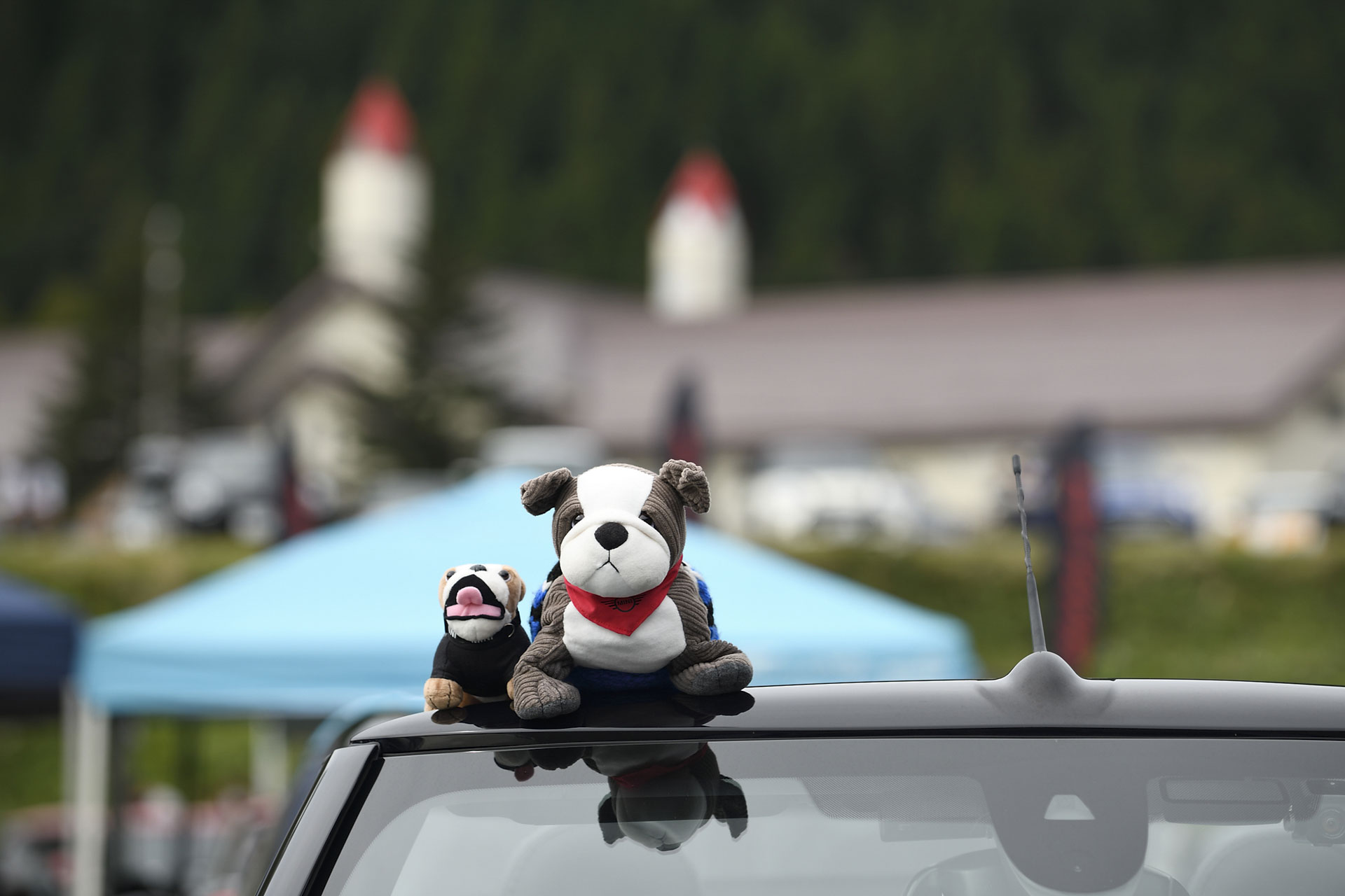 MINI LIVE! 2022 JAPAN MEETING