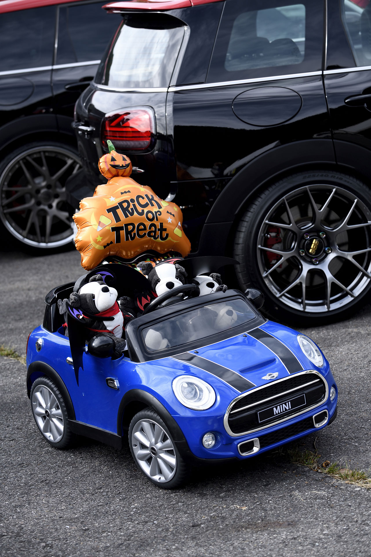 MINI LIVE! 2022 JAPAN MEETING