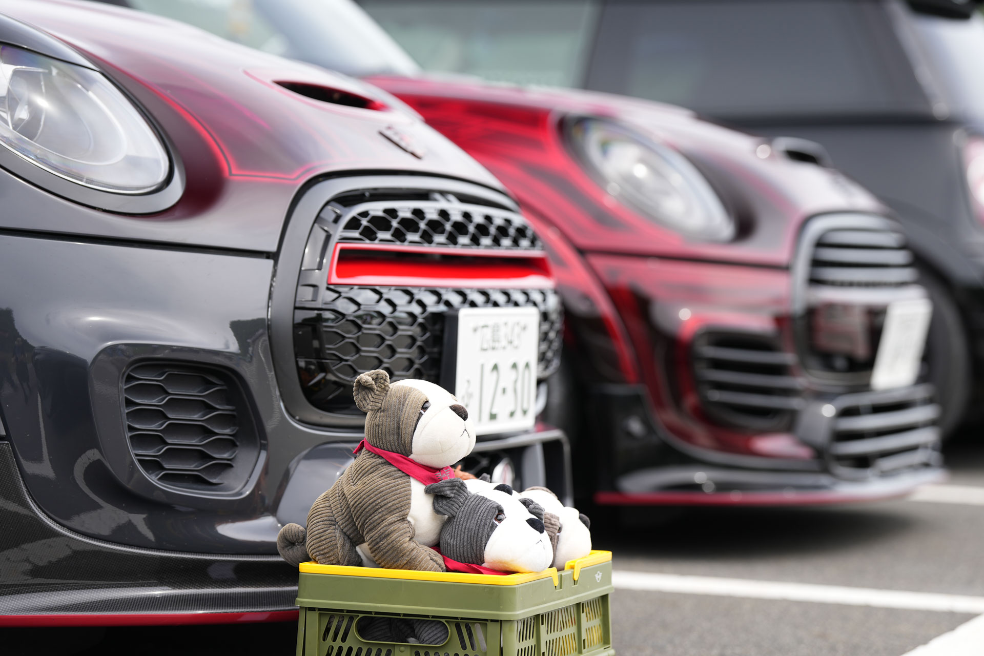 MINI LIVE! 2023 JAPAN MEETING