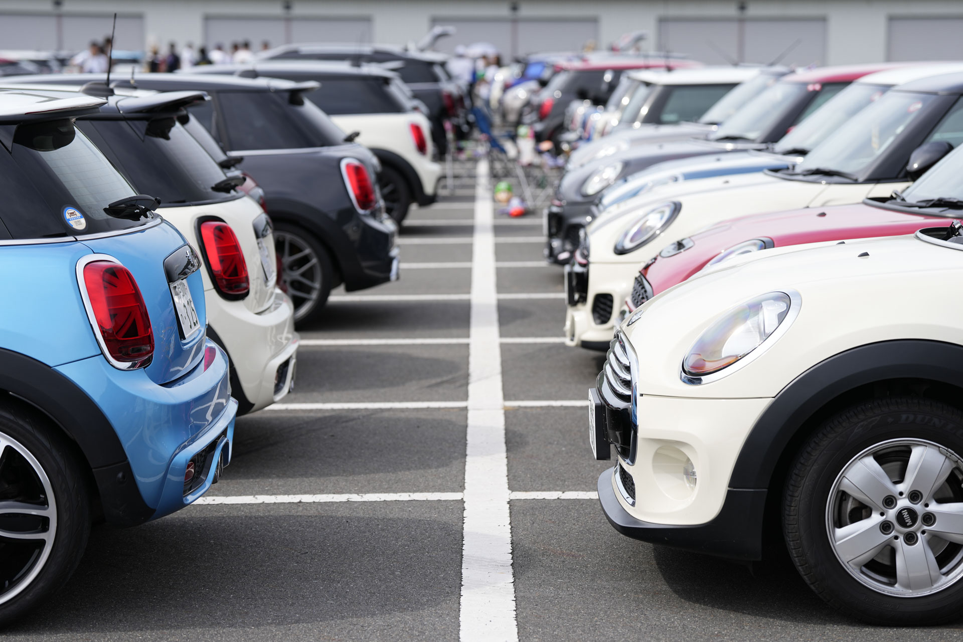 MINI LIVE! 2023 JAPAN MEETING