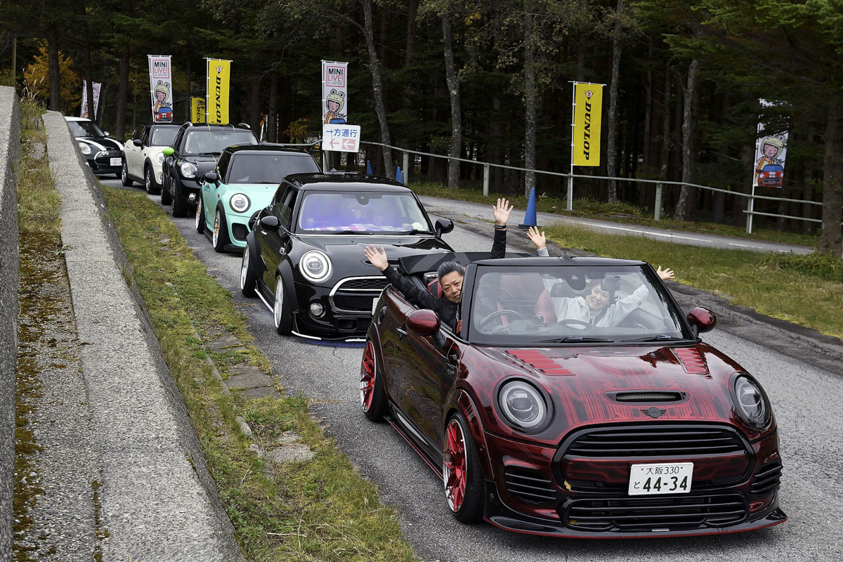 MINI LIVE! 2024