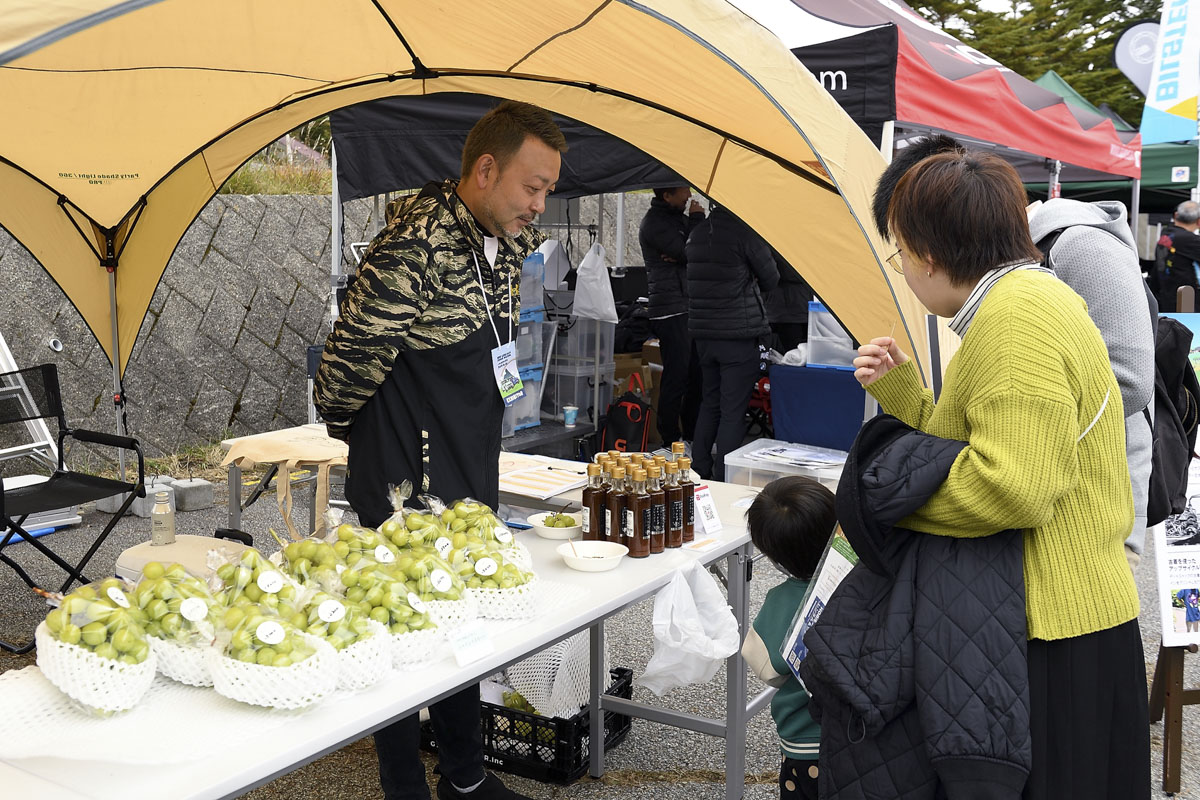 MINI LIVE! 2024 JAPAN MEETING
