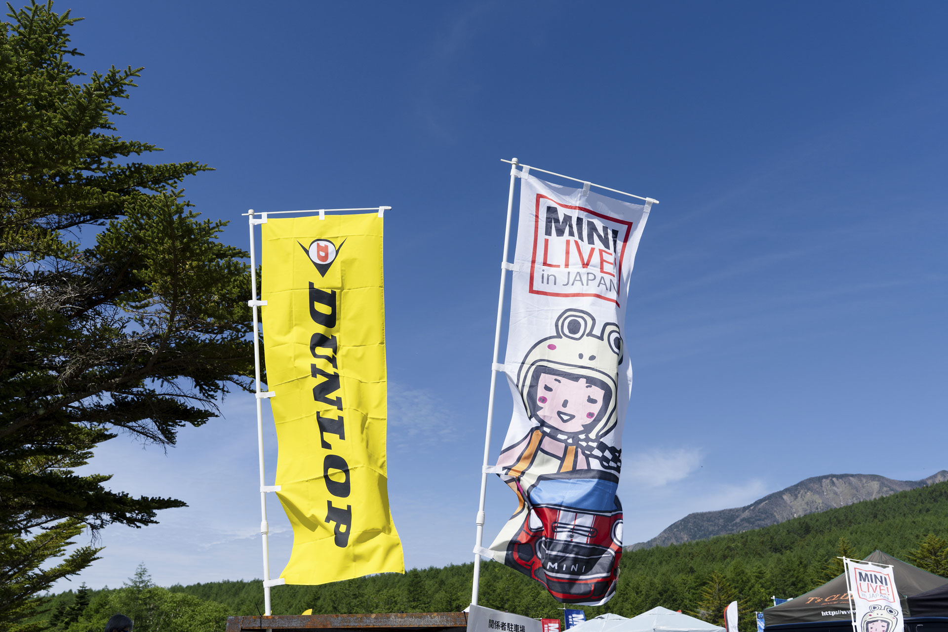 MINI LIVE! 2025
