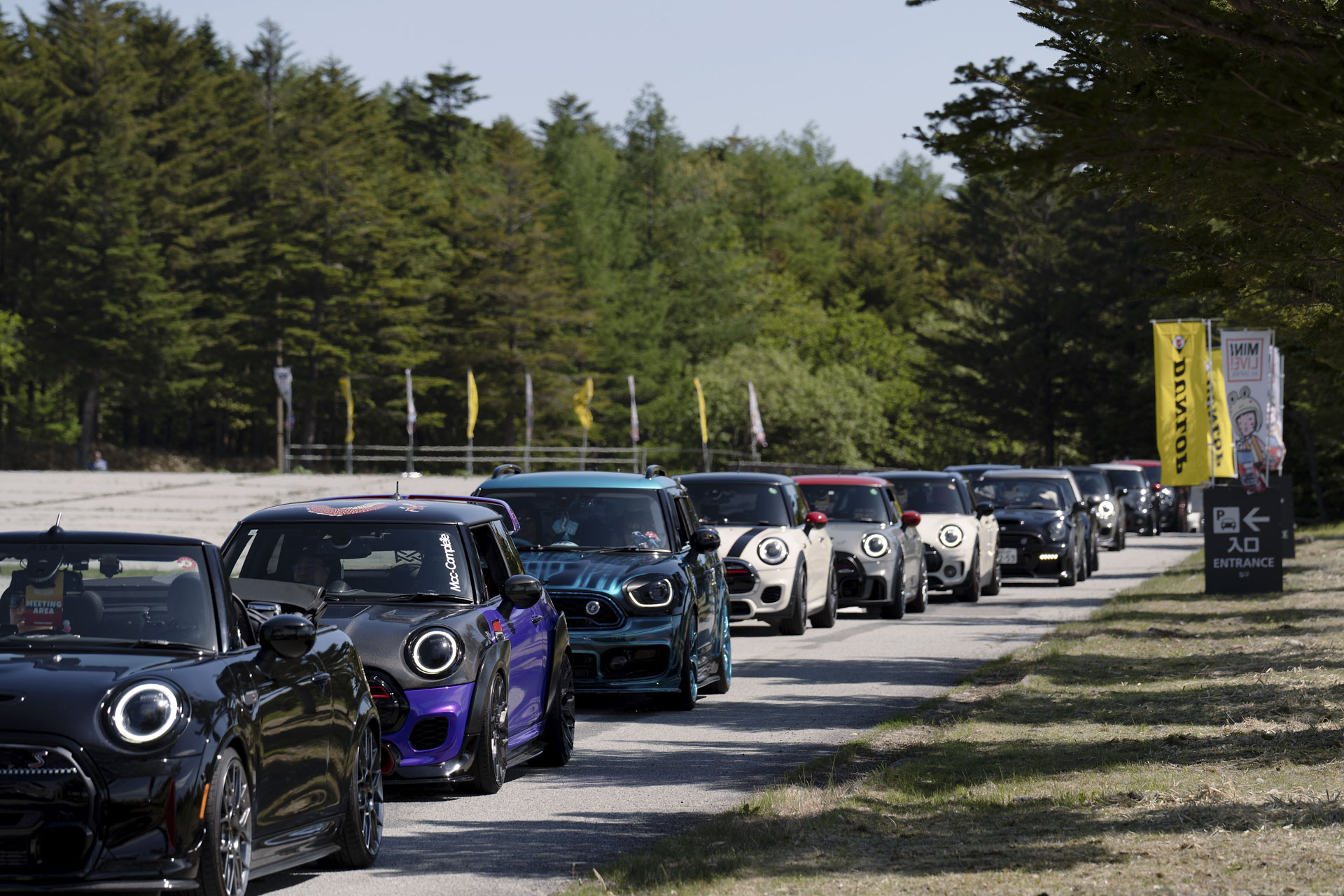 MINI LIVE! 2025