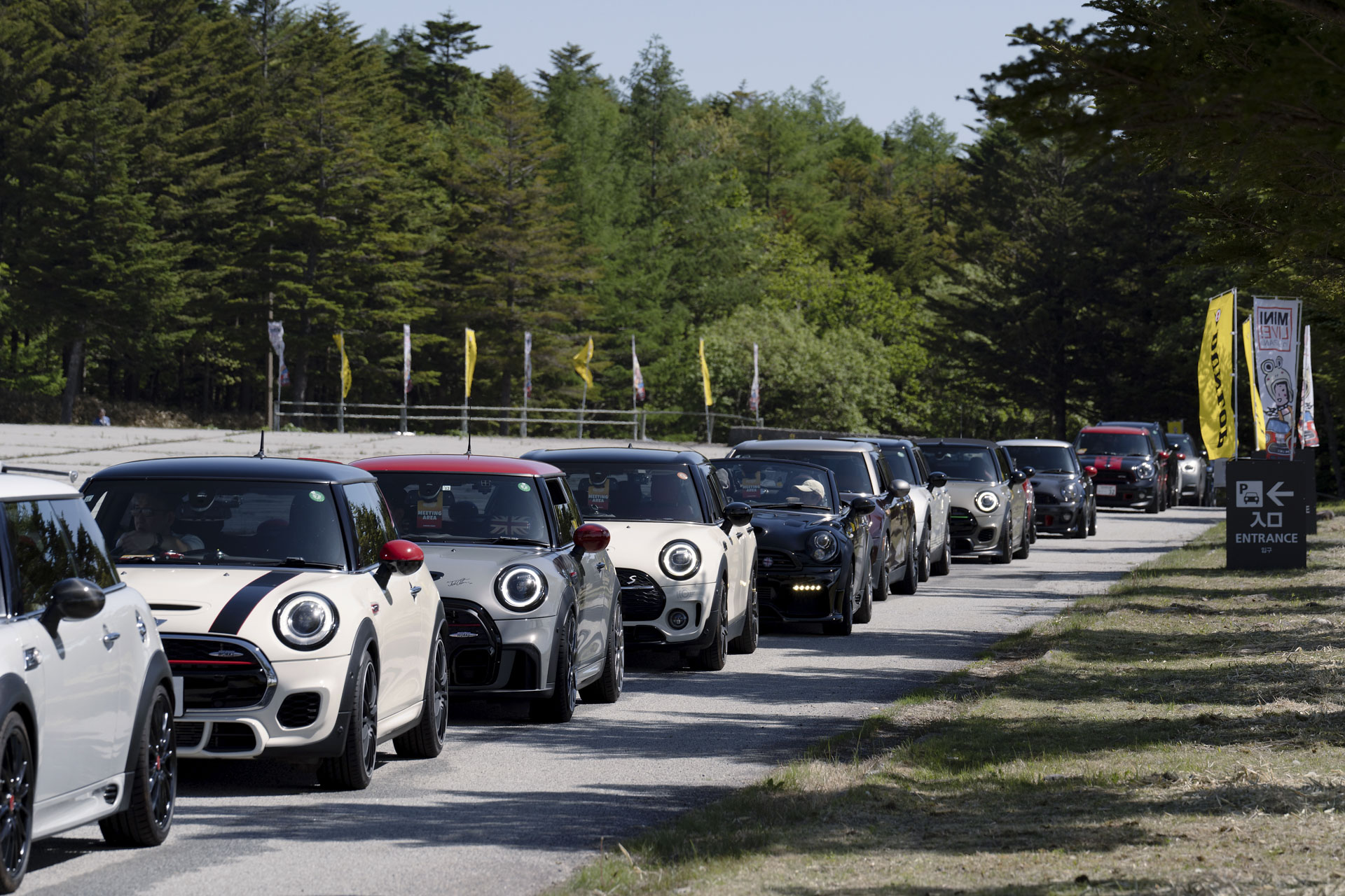 MINI LIVE! 2025