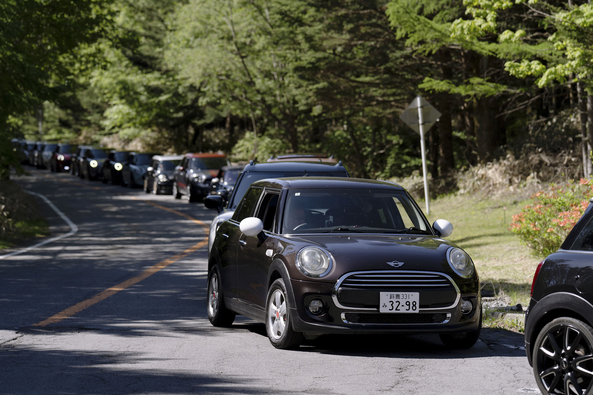 MINI LIVE! 2025