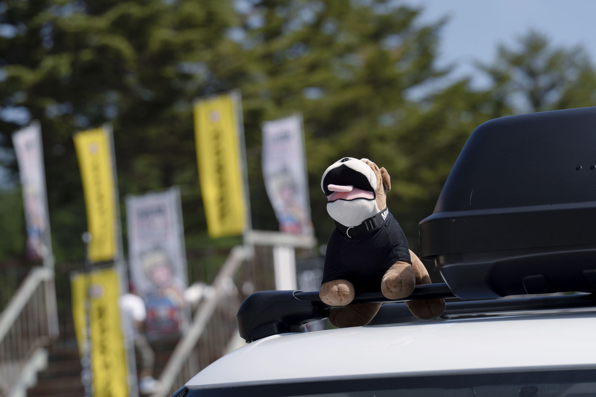 MINI LIVE! 2025