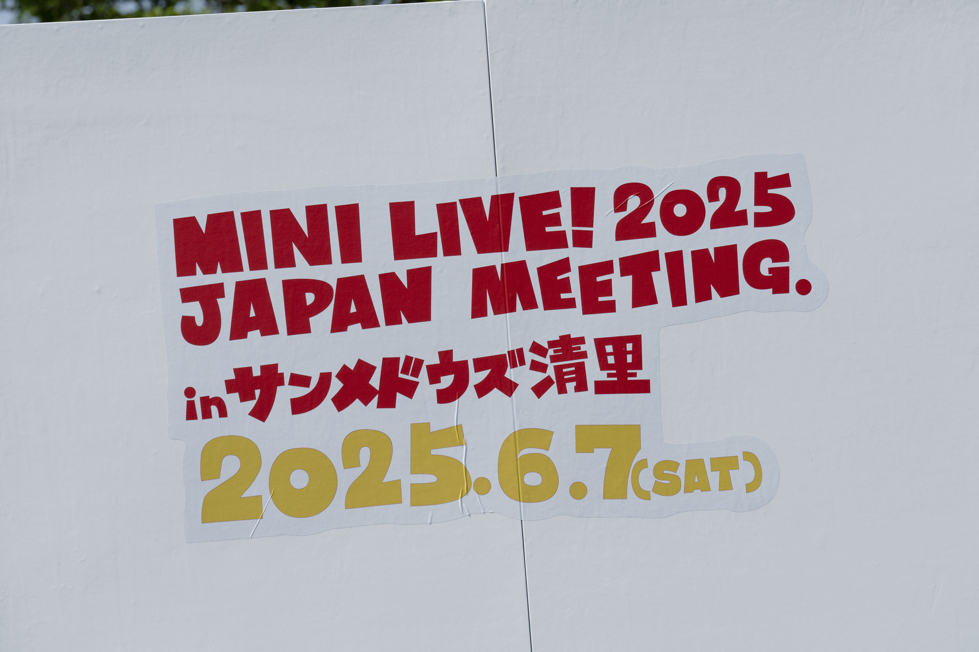 MINI LIVE! 2025