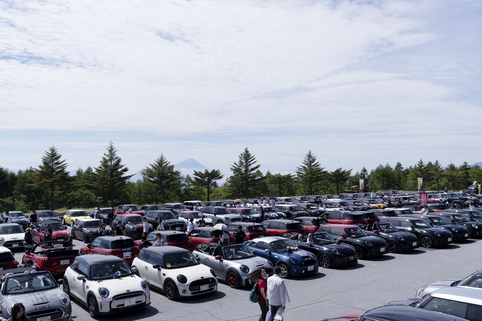 MINI LIVE! 2025