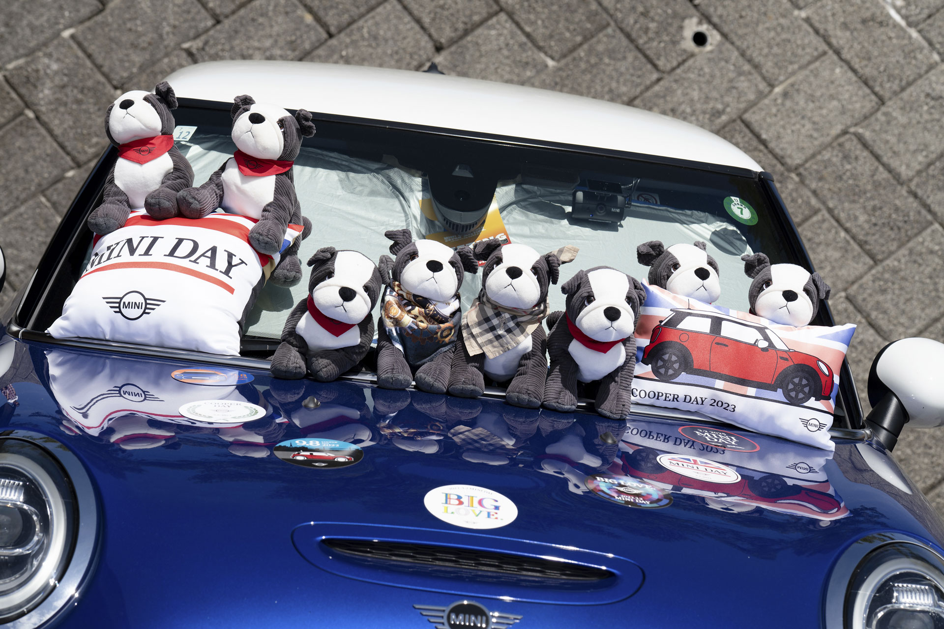 MINI LIVE! 2025