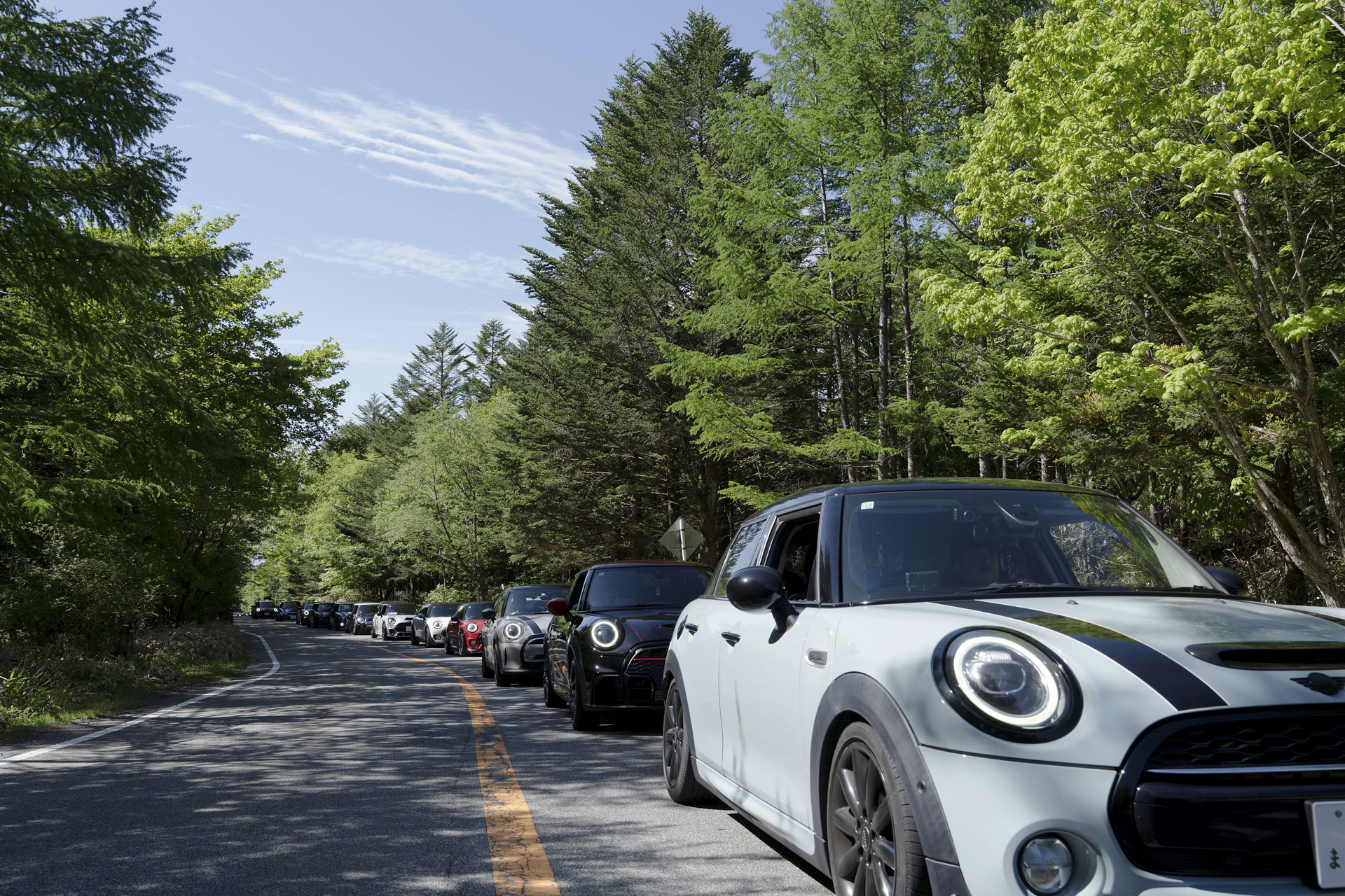 MINI LIVE! 2025