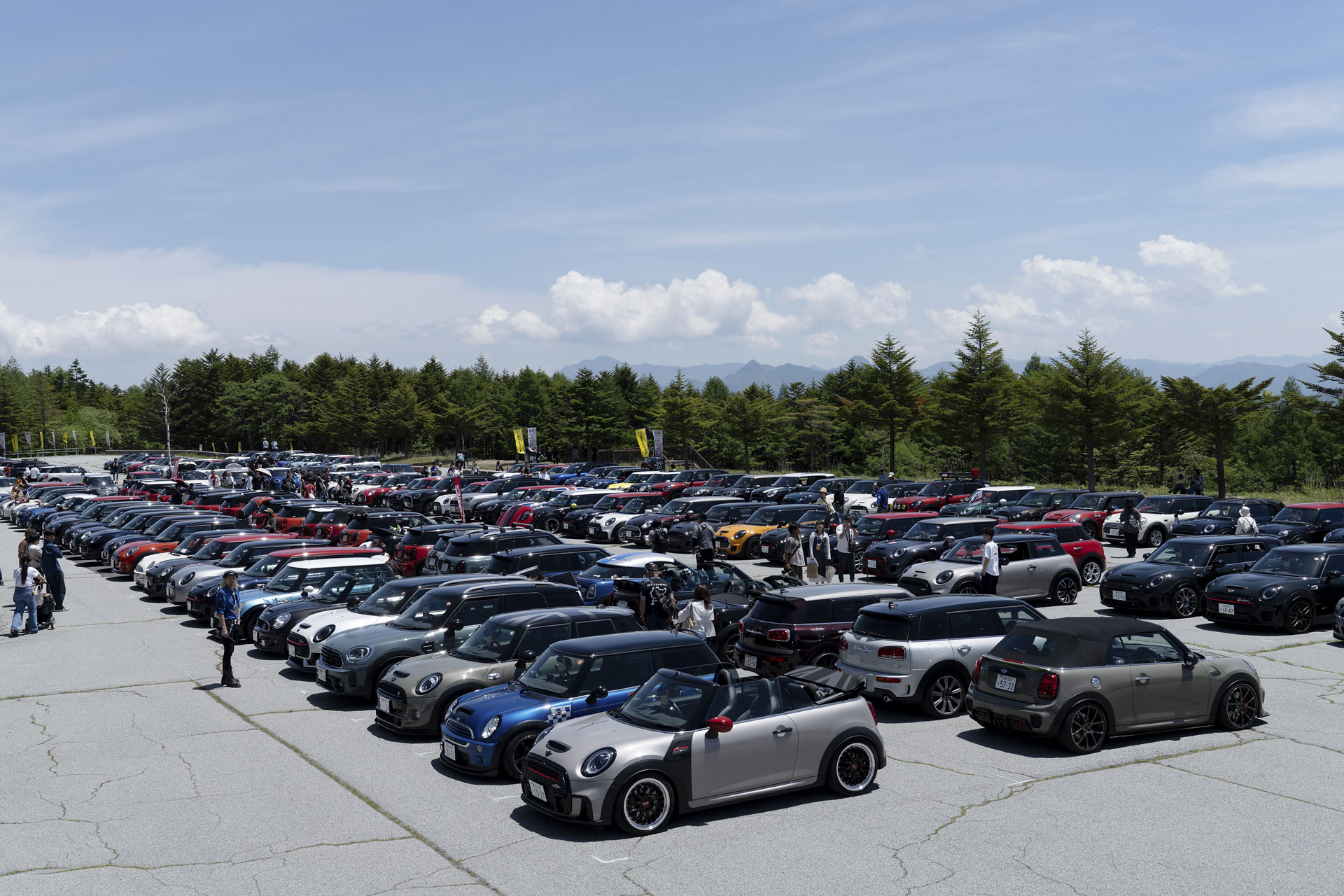 MINI LIVE! 2025