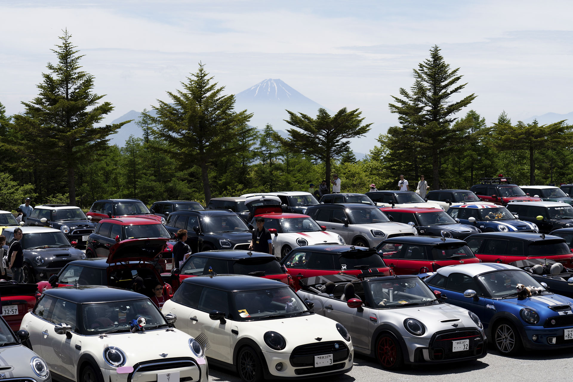 MINI LIVE! 2025